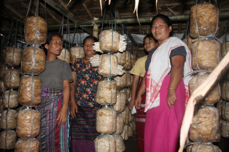 Farm Based Livelihood