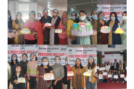 Non-Farm Skill Based Livelihood